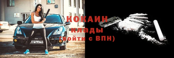 прущие грибы Горняк