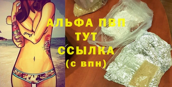 гидра Михайловка