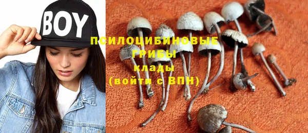 гидра Михайловка