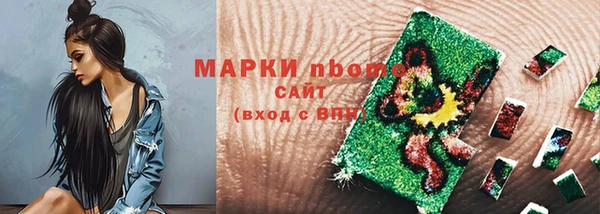 гидра Михайловка