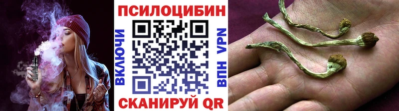 Псилоцибиновые грибы ЛСД  Долинск 